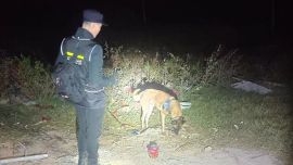 湛江四姐弟與父母起爭(zhēng)執(zhí)離家出走，民警找到時(shí)他們正在蘆葦叢中酣睡