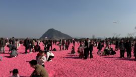 春節(jié)17個省份旅游收入超百億元，已有游客提前7個月預(yù)定十一出游產(chǎn)品