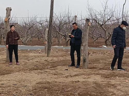 d1140fda677640969a30c50a69de1fed