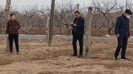 慶城縣自然資源局開展違法用地巡查工作