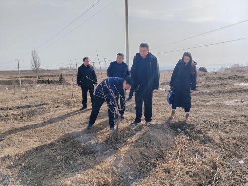 ca43388bc4c34a13bf051180eab91f03