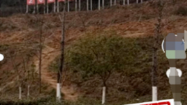 重慶秀山縣一公園把原有樹木挖了搞植樹節(jié)？官方回應(yīng)：不實(shí)