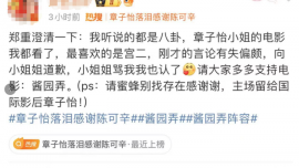 今晚，章子怡怒懟網友