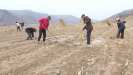 合水縣蒿咀鋪鄉(xiāng)：不負(fù)春光起好步 乘勢而上開新局