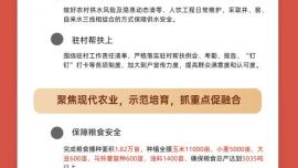 一圖讀懂｜華池縣王咀子鄉(xiāng)2024年重點工作
