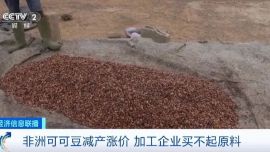 原料價(jià)格瘋漲！加工企業(yè)都買不起了？巧克力全球價(jià)格或?qū)⒗^續(xù)上漲