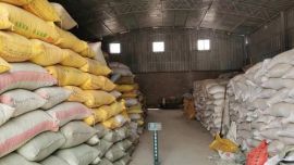 鎮(zhèn)原縣供銷合作社聯(lián)合社：備足農(nóng)資保春耕 助力“三農(nóng)”暖農(nóng)心