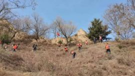 鎮(zhèn)原縣民政局機關(guān)黨支部開展義務(wù)植樹活動