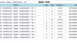 武漢市中心兩棟30層高樓被投訴是違建 開(kāi)發(fā)商稱“重點(diǎn)工程走的綠色通道，先建后補(bǔ)手續(xù)”