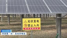 央視曝光湖北孝感多地光伏電站侵占基本農(nóng)田 當(dāng)?shù)鼗貞?yīng)：正在調(diào)查核實(shí)中