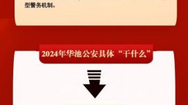 一圖讀懂2024年華池縣公安工作