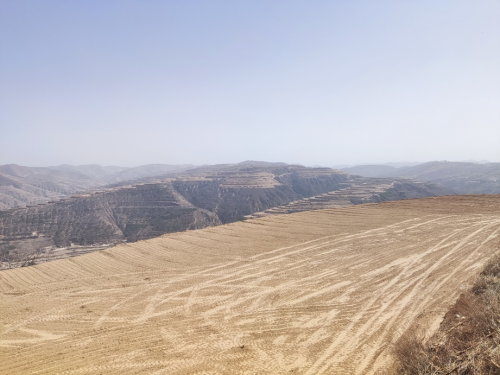 9b56c001f4334463ba25bd1657b42a43