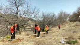 鎮(zhèn)原公路段組織開展春季義務(wù)植樹活動