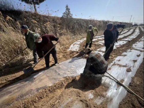 近期，華池鎮(zhèn)王咀子鄉(xiāng)人大主席團組織轄區(qū)52名人大代表根據(jù)職業(yè)和特長分6小組，進村入戶，深入田間地頭指導群眾做好春耕備耕工作，共同研討糞污資源化利用、育苗移栽、果樹修剪、施肥管理、病蟲害防治等后續(xù)工作。目前，在代表們的指導下，完成土地備耕覆膜6500余畝，回收廢舊地膜20余噸。此次活動，人大代表們以實際行動助力鄉(xiāng)村振興工作開展，進一步彰顯了人大代表履職為民的情懷。