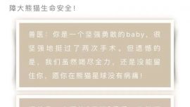 大熊貓青糍死亡