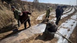 華池縣：王咀子鄉(xiāng)組織開展春耕備耕指導(dǎo)工作