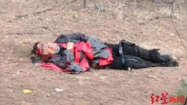 長春62歲男子城郊徒步被多條大狗追咬，全身縫300多針 兒子急尋3名施救路人