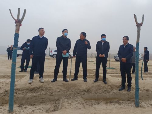 4608eae4779647b789bf454b02d9978d