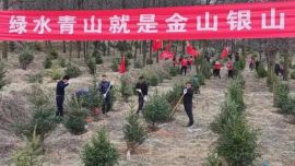 堅(jiān)持以“黨旗紅”繪就“生態(tài)綠”，引領(lǐng)干群齊心共建生態(tài)正寧