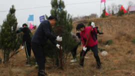 合水縣組織開展2024年全民義務(wù)植樹活動(dòng)