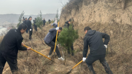 合水縣水務(wù)局組織參加2024年春季義務(wù)植樹活動(dòng)