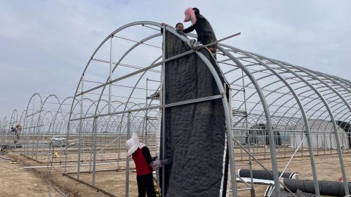 a978db69133d4ea9a47721762eb4244c