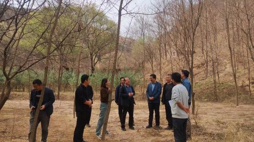 3d454a171d1640a9b17b64471f62826c