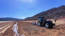 華池縣：悅樂鎮(zhèn)人大代表助力農(nóng)耕生產(chǎn)工作