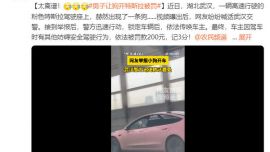男子讓狗開特斯拉被罰 依法罰款200元記3分