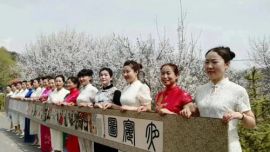镇原县殷家城乡举办第二届杏花文化旅游节