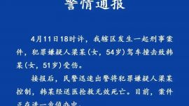 “轎車撞倒女子后反復(fù)碾壓”，警方通報(bào)