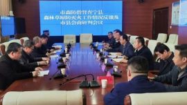 慶陽(yáng)市森防辦督查寧縣春季森林草原防滅火工作