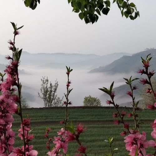 圖源：周著銘 慶城土橋家鄉(xiāng)手機(jī)隨拍
