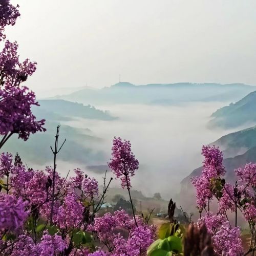 圖源：周著銘 慶城土橋家鄉(xiāng)手機(jī)隨拍