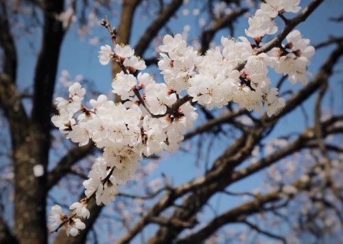 圖源：慶陽市文體廣電和旅游局