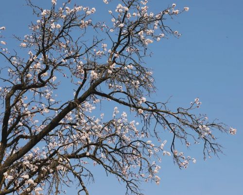 圖源：慶陽市文體廣電和旅游局