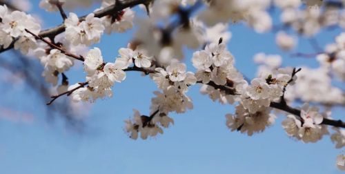 圖源：慶陽市文體廣電和旅游局