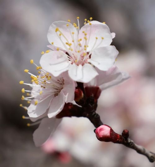 圖源：慶陽市文體廣電和旅游局