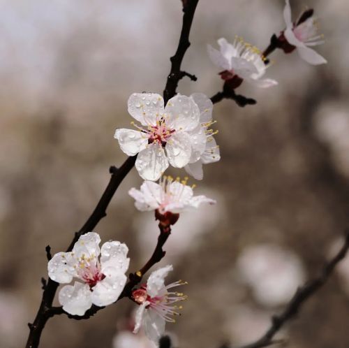 圖源：慶陽市文體廣電和旅游局