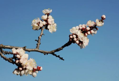 圖源：慶陽市文體廣電和旅游局