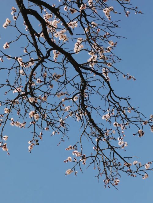 圖源：慶陽市文體廣電和旅游局