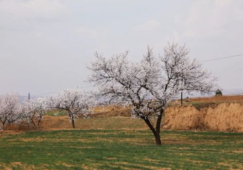圖源：慶陽市文體廣電和旅游局