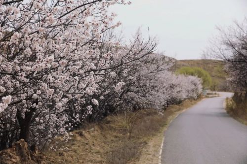 圖源：慶陽市文體廣電和旅游局