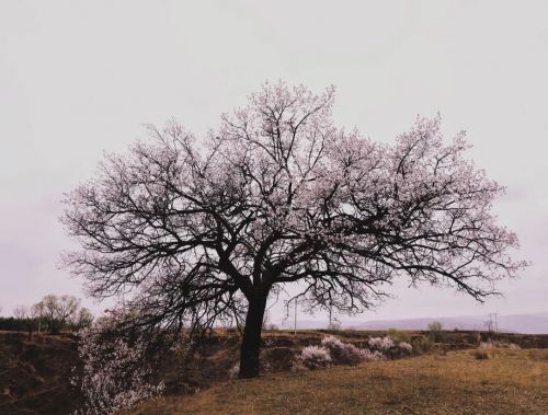 圖源：慶陽市文體廣電和旅游局