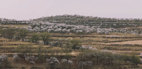 圖源：慶陽市文體廣電和旅游局