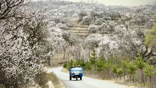 圖源：慶陽市文體廣電和旅游局