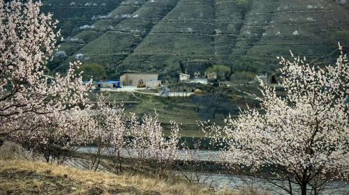 圖源：慶陽市文體廣電和旅游局