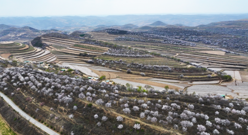 圖源：慶陽市文體廣電和旅游局