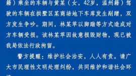 保時捷女司機(jī)撞車后威脅被撞車主？警方通報