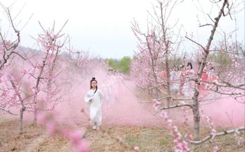 在药王洞养生小镇酒坊举行了“飞花令”对诗品酒活动。